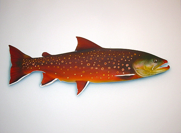 Arctic Char