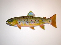 Stream Brown Trout