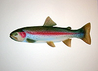 Rainbow trout