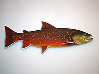 Arctic Char